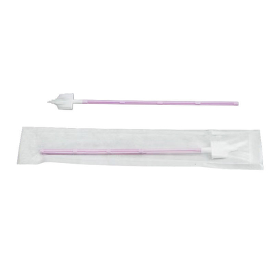 Disposable Medical Vaginal Cervical Sampling Brush Cytology Cervical Swab Brush