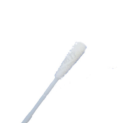 Good price 150mm Disposable Sampling Swab , Medical PCR Test Throat Swab online